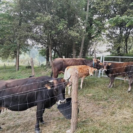 Agroturismo Erlete Goikoa -Estamos En El Camino De Santiago -We Are On The Camino De Santiago Деба Экстерьер фото