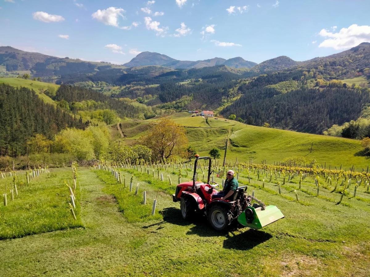 Agroturismo Erlete Goikoa -Estamos En El Camino De Santiago -We Are On The Camino De Santiago Деба Экстерьер фото