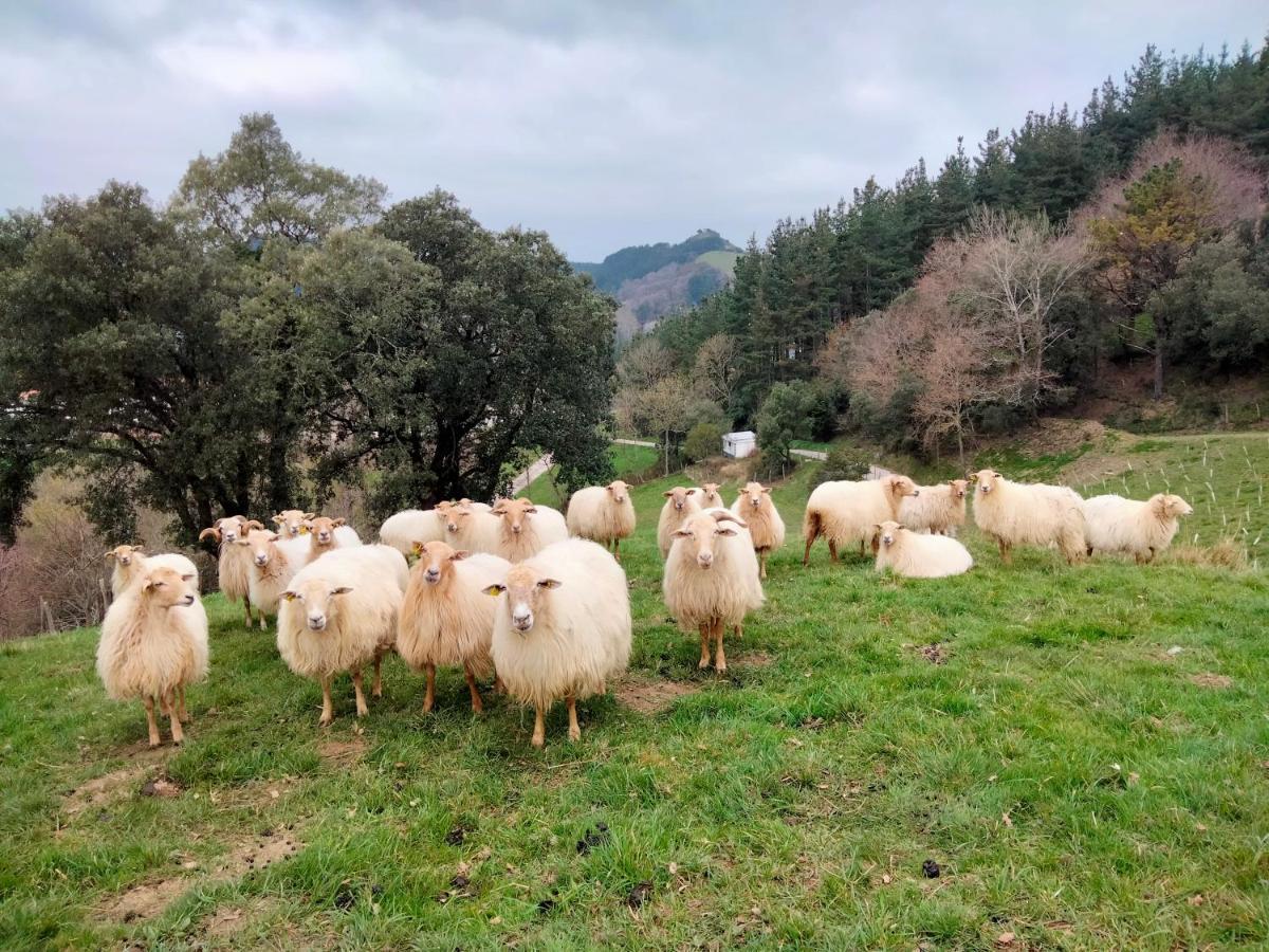 Agroturismo Erlete Goikoa -Estamos En El Camino De Santiago -We Are On The Camino De Santiago Деба Экстерьер фото