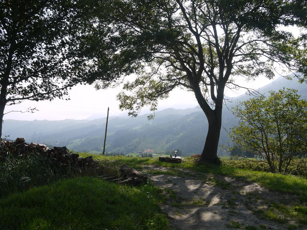 Agroturismo Erlete Goikoa -Estamos En El Camino De Santiago -We Are On The Camino De Santiago Деба Экстерьер фото