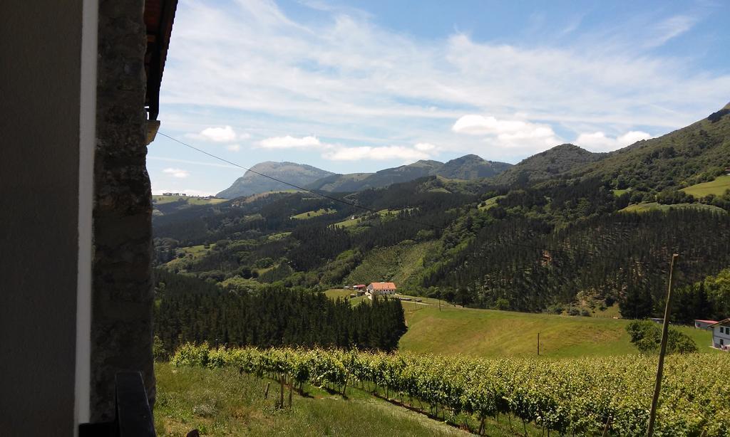 Agroturismo Erlete Goikoa -Estamos En El Camino De Santiago -We Are On The Camino De Santiago Деба Экстерьер фото