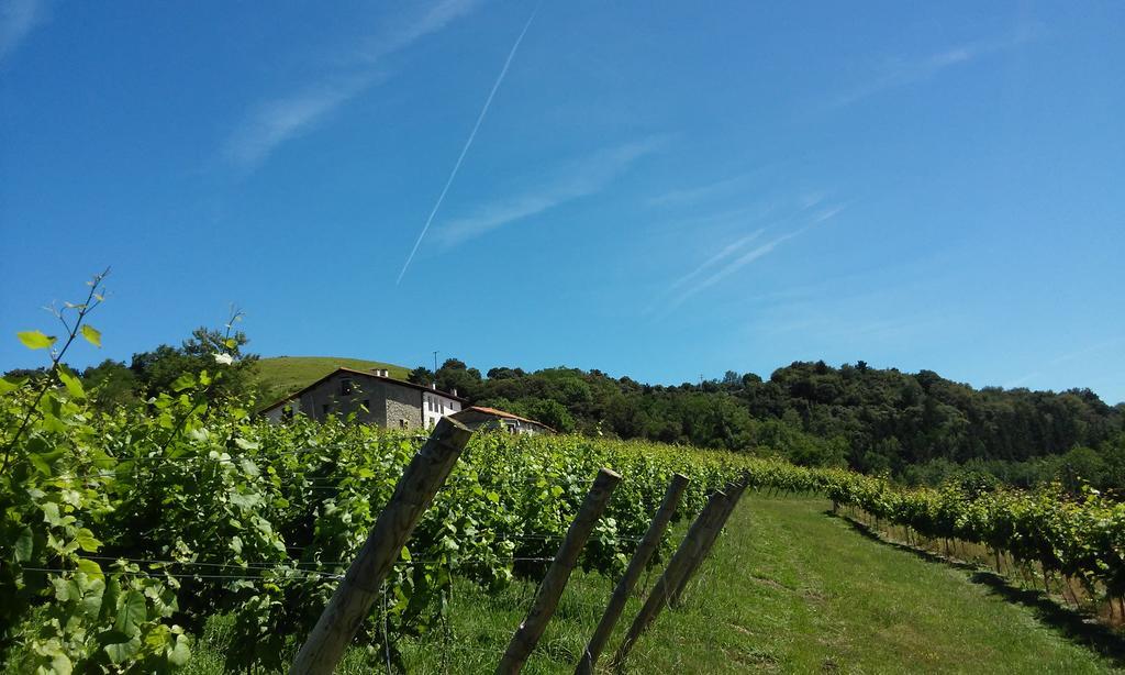 Agroturismo Erlete Goikoa -Estamos En El Camino De Santiago -We Are On The Camino De Santiago Деба Экстерьер фото