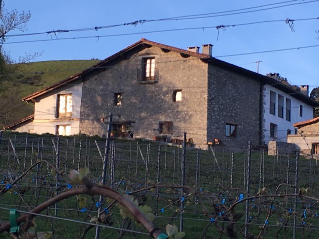 Agroturismo Erlete Goikoa -Estamos En El Camino De Santiago -We Are On The Camino De Santiago Деба Экстерьер фото