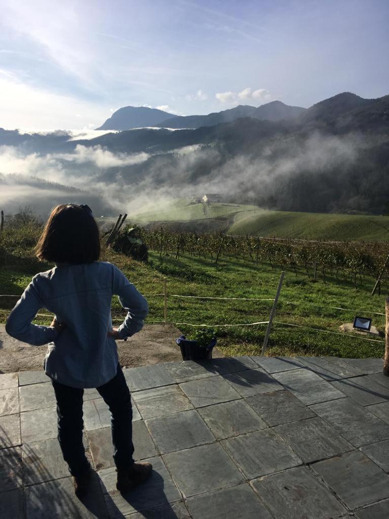 Agroturismo Erlete Goikoa -Estamos En El Camino De Santiago -We Are On The Camino De Santiago Деба Экстерьер фото